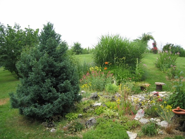 panoramik